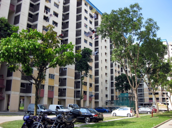 Blk 693 Hougang Spring (Hougang), HDB 4 Rooms #235552